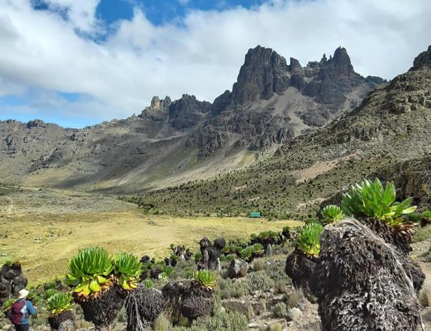 mountain climbing and safari