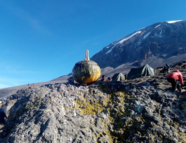 Kilimanjaro Trekking