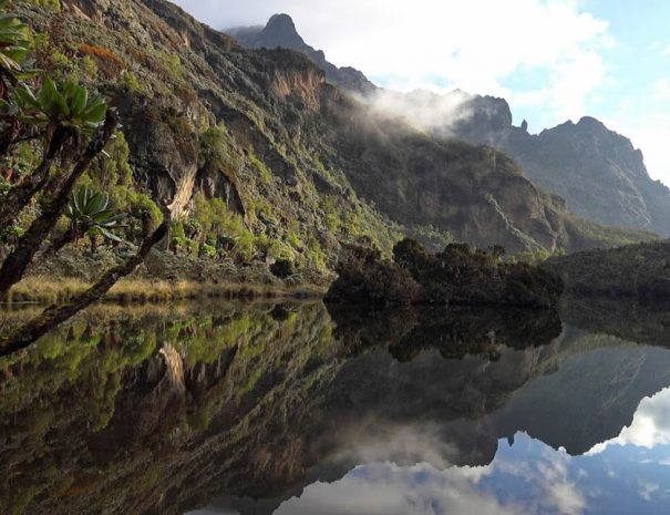 Ruwenzori Mountains Climbing