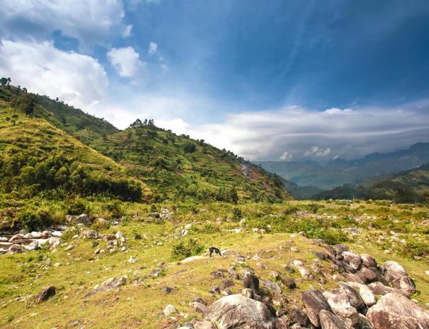 Ruwenzori Mountains Climbing