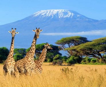 Is Climbing Mount Kilimanjaro Worth It?