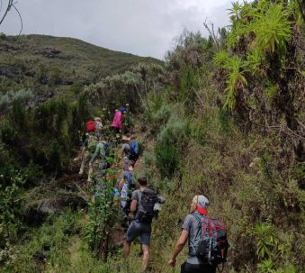 Cost of Hiking Mount Kenya - Keshi Tours clients hiking a bushy trail on Mount Kenya